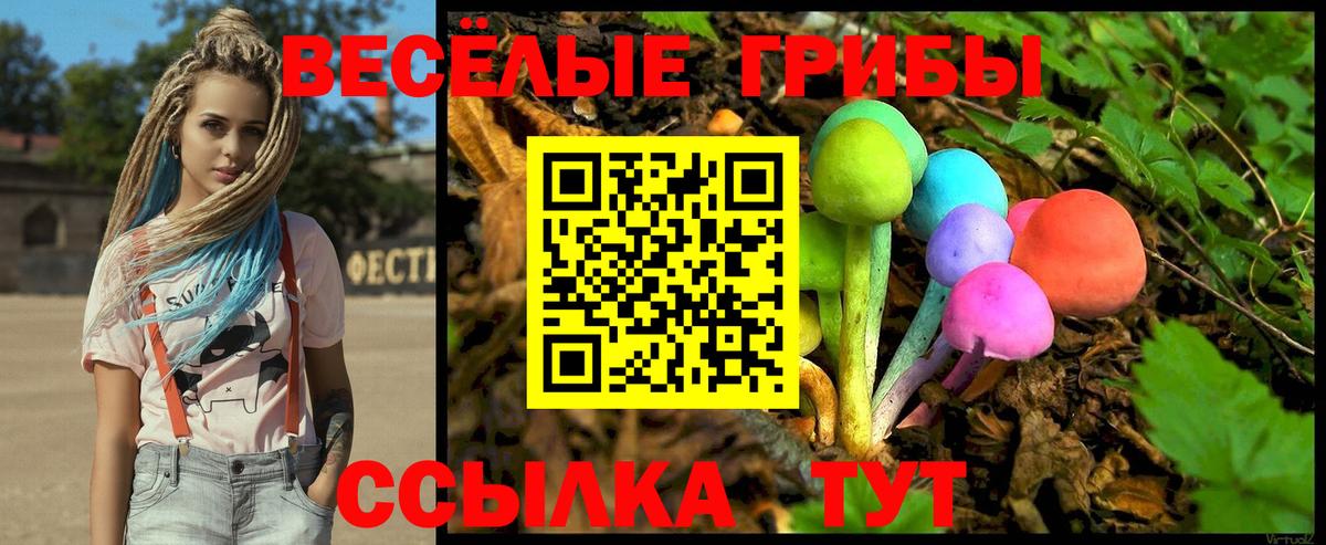 Галлюциногенные грибы мухоморы Бор