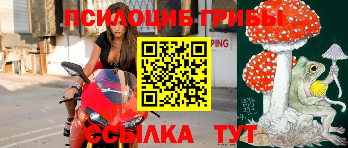 закладка  Галлюциногенные грибы Psilocybe  Вход с VPN  Бор 