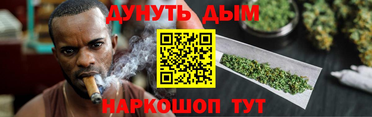 Канабис планчик Бор